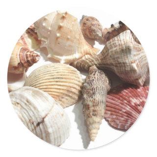 Seashells Classic Round Sticker