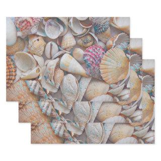 Seashells Ocean Beach Mosaic Art Decoupage  Sheets