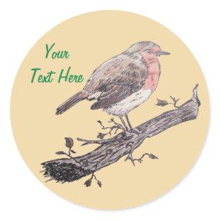 seasonal wildlife robin picture for christmas classic round sticker