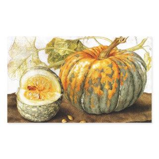 SEASON'S FRUITS  / PUMPKINS RECTANGULAR STICKER