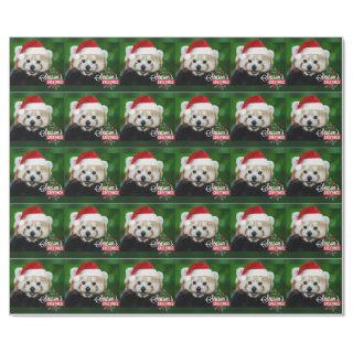 Seasons Greetings from Red Panda Santa