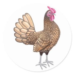 Sebright Bantam Rooster Classic Round Sticker