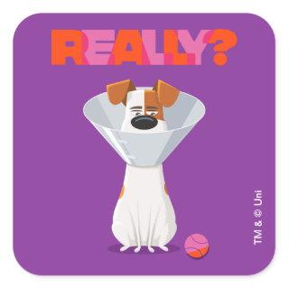 Secret Life of Pets - Max | Really? Square Sticker