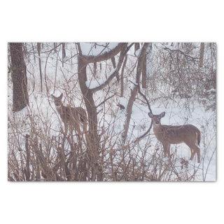 Sepia Winter Season Snow and Deer Photo  Tissue Paper