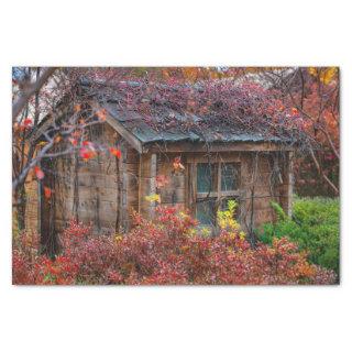 Serene Fall Cabin Surrounded with Flowers Tissue Paper