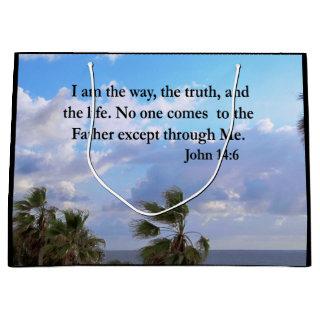 SERENE JOHN 14:6 PHOTO DESIGN LARGE GIFT BAG