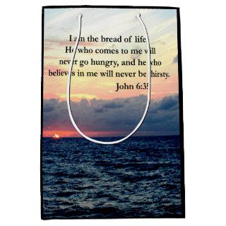 SERENE JOHN 6:35 SUNRISE PHOTO DESIGN MEDIUM GIFT BAG