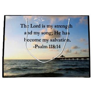 SERENE PSALM 118:14 LOVELY OCEAN PHOTO LARGE GIFT BAG