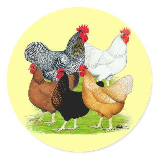 Sex-linked Chickens Quintet Classic Round Sticker