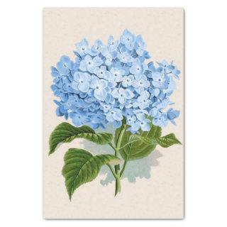 Shabby Chic Light Pastel Sky Blue Flowers Tissue Paper