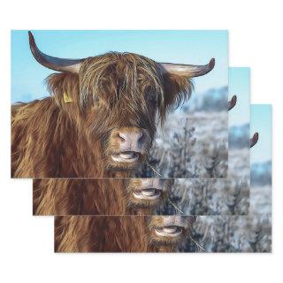 Shaggy Highland Beef Cow Oil Painting  Sheets