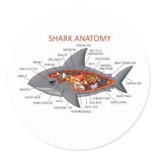 Shark Anatomy Classic Round Sticker