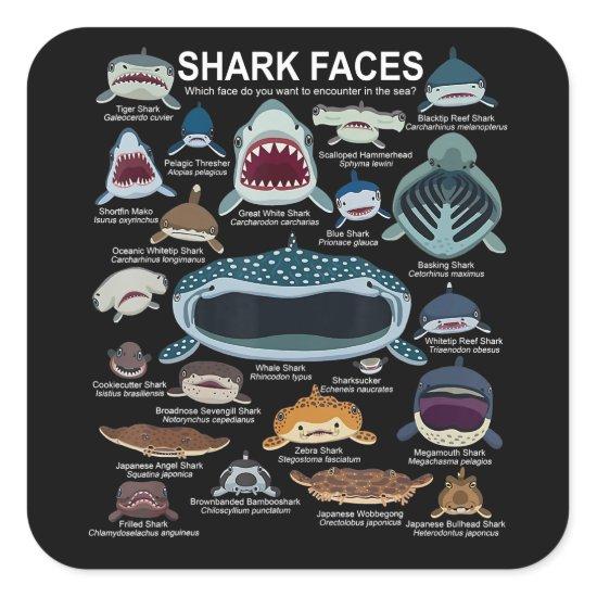 Shark Faces Which Face Do You Want To Encounter Square Sticker