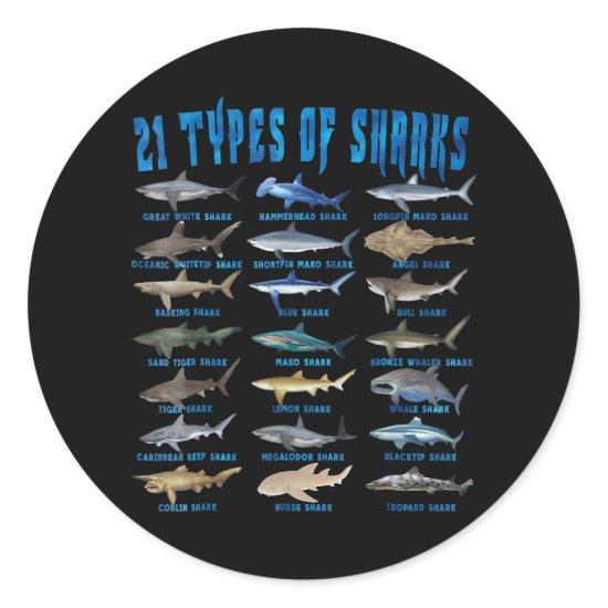 Shark Lovers 21 Types Of Sharks Ocean Animal Classic Round Sticker