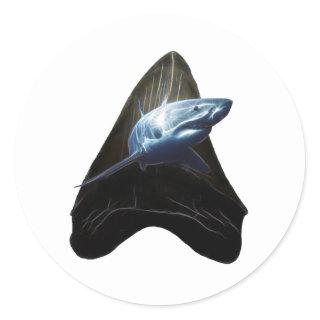 Shark Tooth Classic Round Sticker
