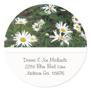 Shasta Daisies Address Stickers