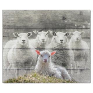 Sheep and Baby Lamb