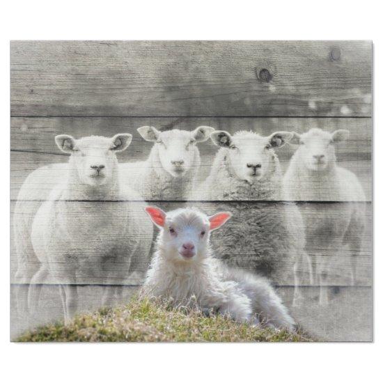 Sheep and Baby Lamb