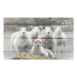 Sheep Flock Baby Lamb Rectangular Sticker
