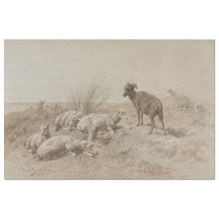 Sheep Graphite Artwork Decoupage Paper