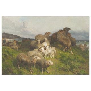 Sheep in a Meadow (by August Friedrich Schenck) Tissue Paper