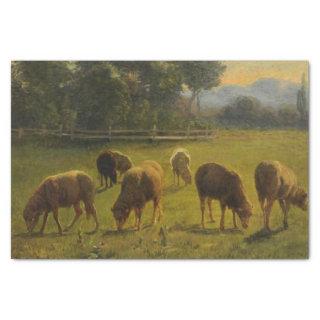 Sheep in a Rural Landscape (French Farm) Tissue Paper