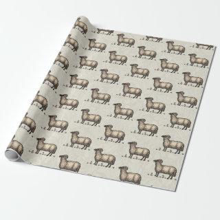 Sheep Lamb Farm Animal Vintage