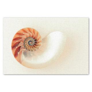 Shell Of Life Tissue Paper