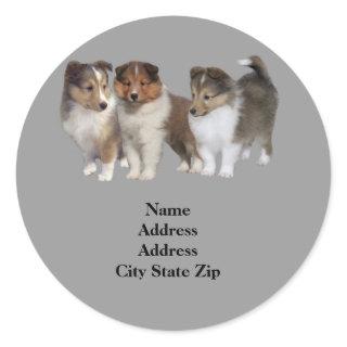 Sheltie Address Label