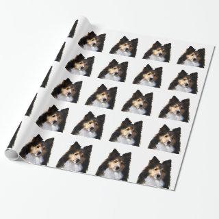 Sheltie Dog painting sketch