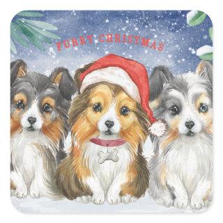 Shelties in the Snow Square Sticker