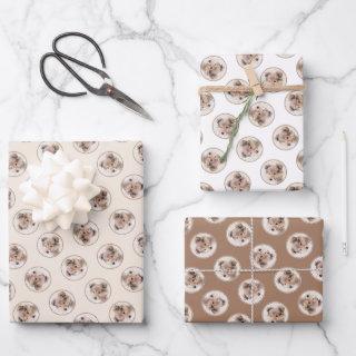 Shetland Sheepdog Puppy Painting Sheltie Dog Art  Sheets