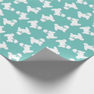 Shih Tzu Dog Puppy Teddy Bear Short Hair