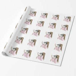 Shih tzu in baby carriage