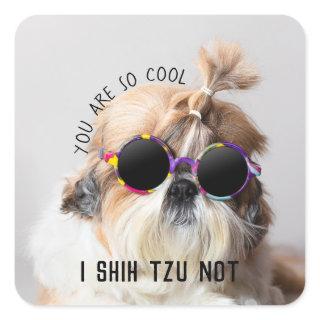 Shih Tzu Not fun cute dog lovers Custom Photo text Square Sticker