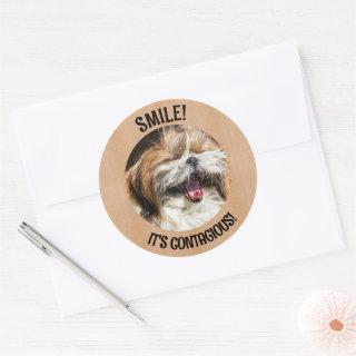 Shihtzu laughing smile it's contagious custom text classic round sticker