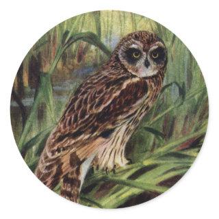 Short-eared Owl in Wetlands Classic Round Sticker