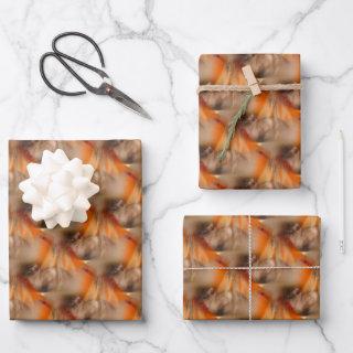 Siamese Cat Animal Pattern   Sheets