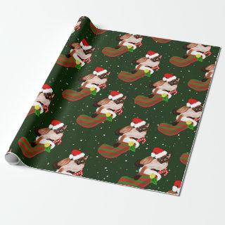 Siamese cat Christmas with stocking and Santa hat