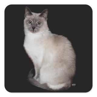 Siamese Cat Square Sticker
