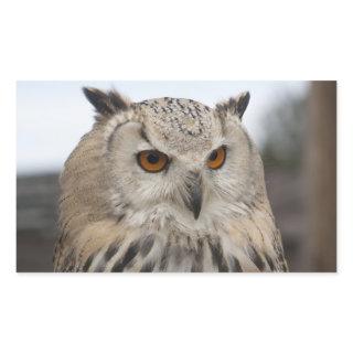 Siberian Eagle Owl Rectangular Sticker
