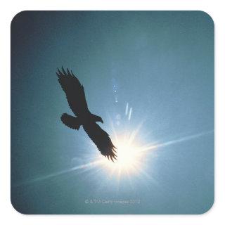 Silhouette of bald eagle flying in sky square sticker