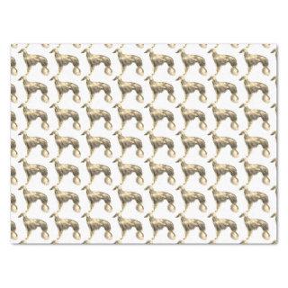 Silken Windhound Tissue Paper