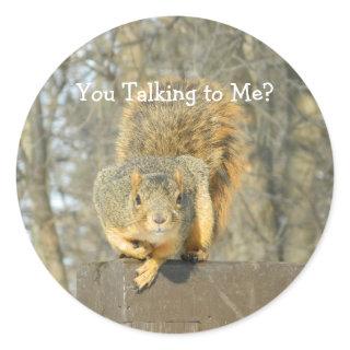 Silly Squirrel  Classic Round Sticker