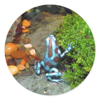 Silvery Blue Dart Frog CB Classic Round Sticker