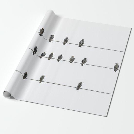 Simple Birds on the Wires Hand-Drawn Illustration