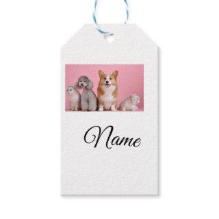 Simple colorful animal add name photo custom gift tags