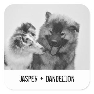 Simple, Modern Custom Pet or People Photo Square Sticker