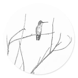 Simply a Hummingbird on a stick Classic Round Sticker