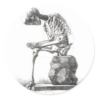 Skeleton Sitting Anatomy Illustraiton Classic Round Sticker